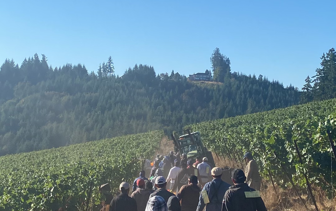 Pruning crew Oregon orchard vineyard — Giron Contract Service